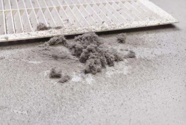 Best Air Duct Cleaning Near Me  in Danvle, IL