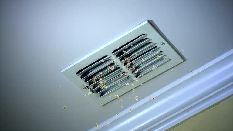 Best Duct Cleaning for Offices  in Danvle, IL