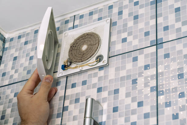 Best Professional Duct Cleaning Services  in Danvle, IL