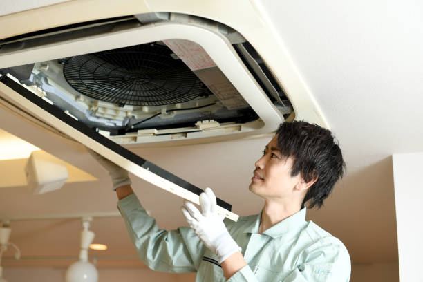 Best Affordable HVAC Duct Cleaning  in Danvle, IL