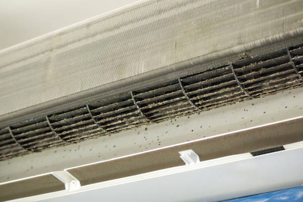 Best Affordable Air Duct Cleaning  in Danvle, IL