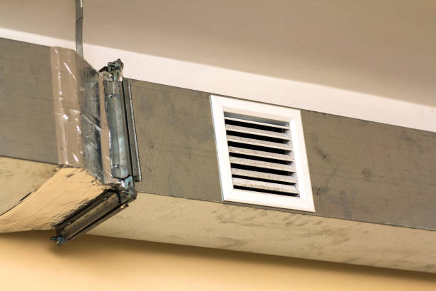 Best Professional Duct Cleaning Services  in Danvle, IL